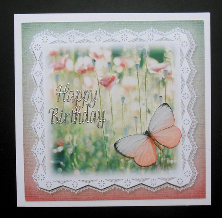 Flowers and Lace 5 by Hazel Sumner