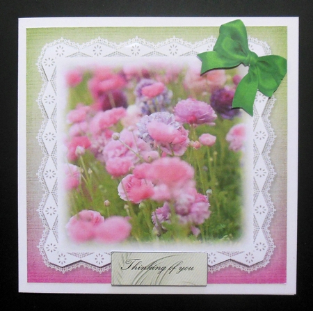 Flowers and Lace 8 by Hazel Sumner