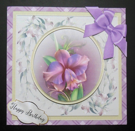 Orchids by Hazel Sumner