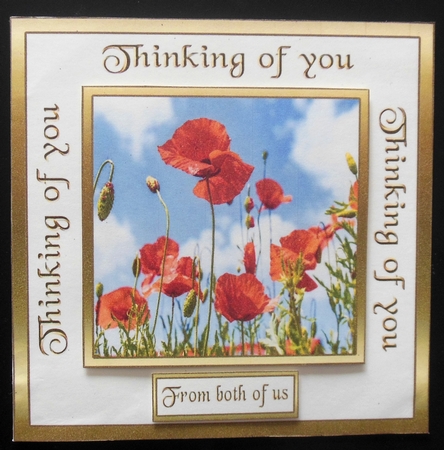 Sc Poppies by Hazel Sumner