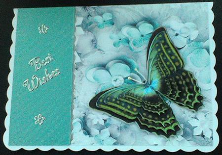 Butterfly Beauty 3 by Hazel Sumner