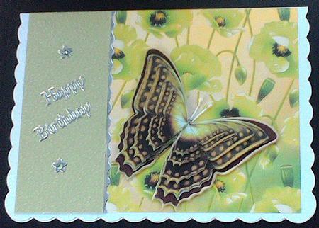 Butterfly Beauty 5 by Hazel Sumner