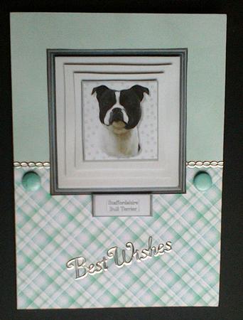 Staffordshire Bull Terrier,black & White Portrait Pyramid by Hazel Sumner