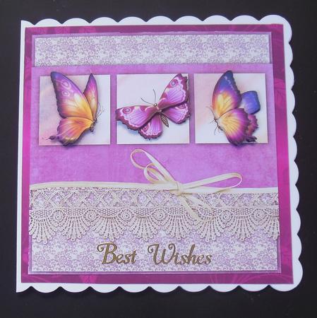 Butterfly Trio & Vintage Lace 8x8in Step by Step by Hazel Sumner