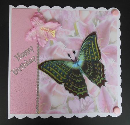 Butterfly Beauty by Hazel Sumner