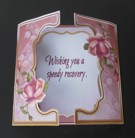 Fwg Pink Roses (speedy Recovery) by Hazel Sumner