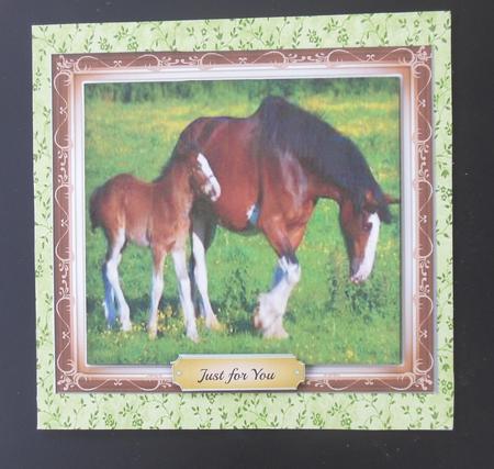 Beautiful Clydesdale Horse with Foal by Hazel Sumner