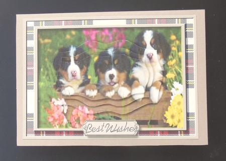Cute Eny- Meany- and Mo , Trio of Pups by Hazel Sumner