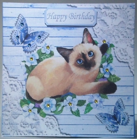 Blue Wood and lace corners 8x8 card front with siamese cat & butterflies by Hazel Underwood