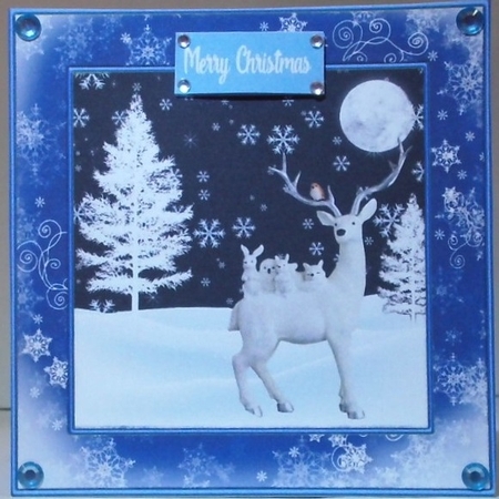 Blue Winter  by Hazel Underwood