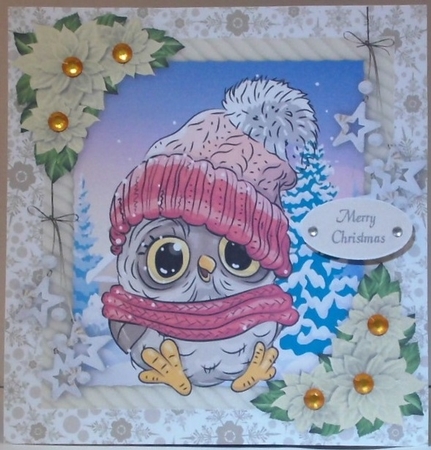 Adorable Owl  In Bobble Hat  8x8 by Hazel Underwood
