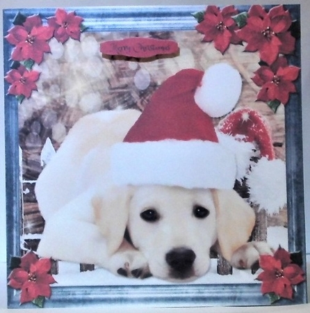 Pet Lovers Christmas 13 by Hazel Underwood