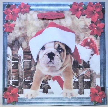 Pet Lovers Christmas 14 by Hazel Underwood