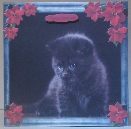 Pet Lovers Christmas 16 by Hazel Underwood