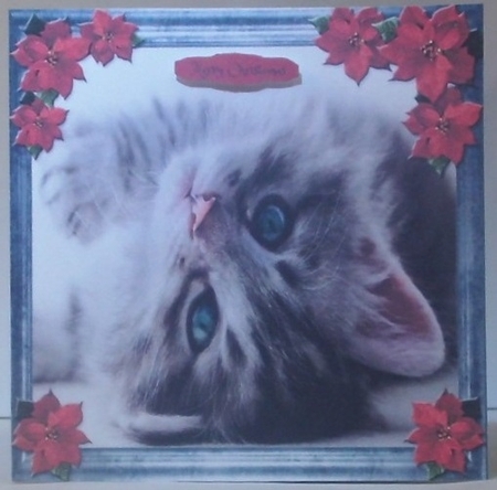 Pet Lovers Christmas 17 by Hazel Underwood