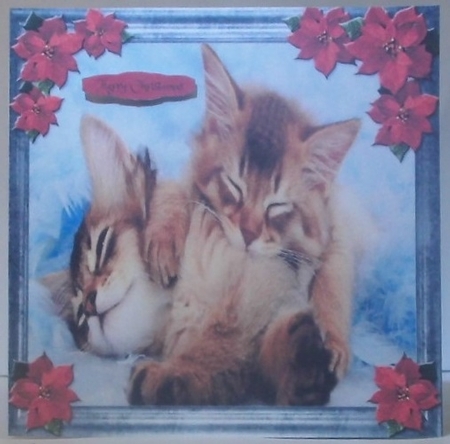 Pet Lovers Christmas 18 by Hazel Underwood