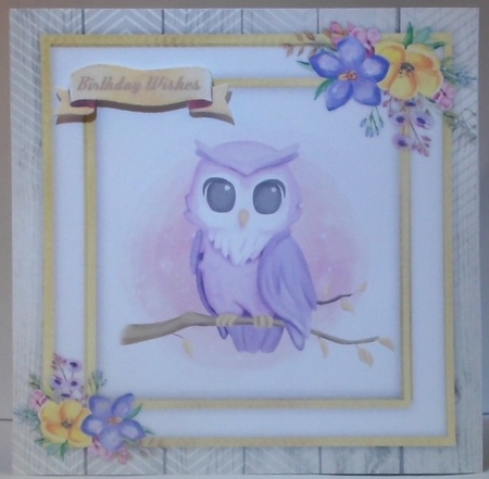Beautiful Water Coloured  Owl  by Hazel Underwood