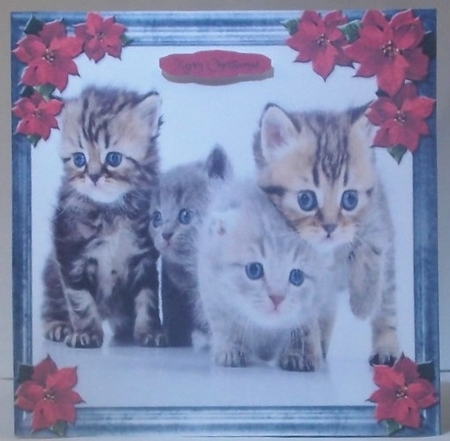Pet Lovers Christmas 20 by Hazel Underwood