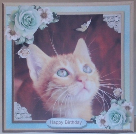 Kitten & butterfly card mini kit & decoupage by Hazel Underwood