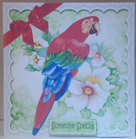 Lovely parrot with flowers and lace with red bow 8x8 by Hazel Underwood