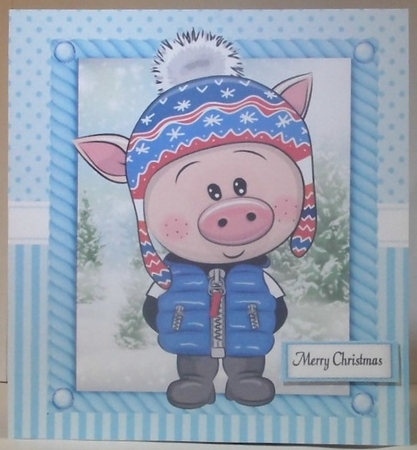 Festive Pig in winter hat 8x8 by Hazel Underwood