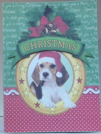 Christmas bumper kit 2, 20 topper sheets + bonus by Hazel Underwood