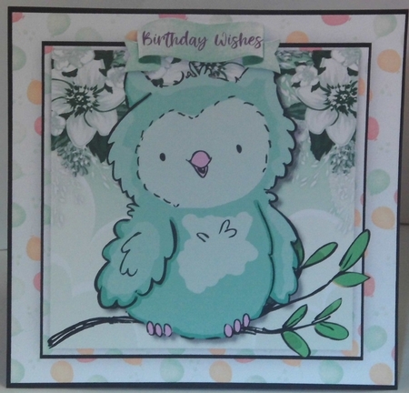 4, Cute Card Fronts , Owl in a Tree  by Hazel Underwood