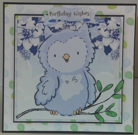 4, Cute Card Fronts , Owl in a Tree  by Hazel Underwood