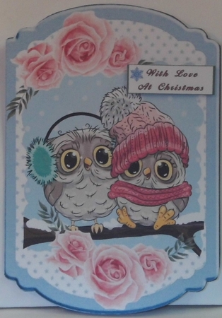Cute owls on a branch in knitted hats, pink roses & blue star bracket card by Hazel Underwood