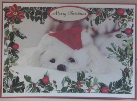 Christmas Blessings by Hazel Underwood