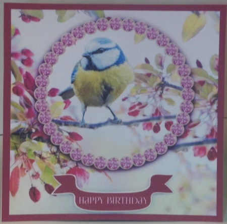 Jewelled Blue Tit Card by Hazel Underwood