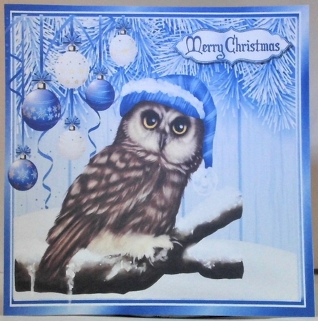 Lovely blue  Christmas with fern 8x8 card front with baubles & cute owl by Hazel Underwood