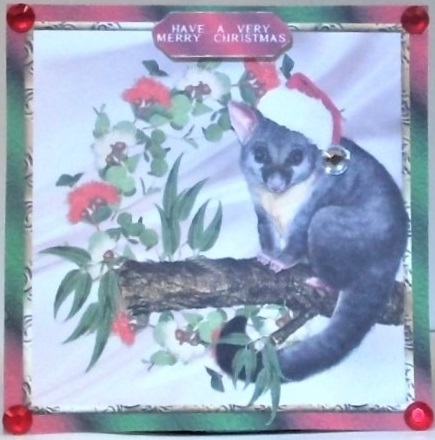 Australian Possum Christmas Card  by Hazel Underwood