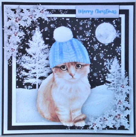 Kittys Bobble Hat  by Hazel Underwood