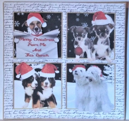 Dog merry Christmas by Hazel Underwood
