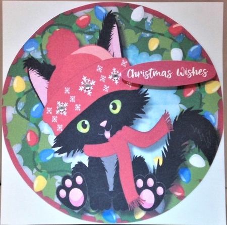 Gorgeous Black Kitty by Hazel Underwood