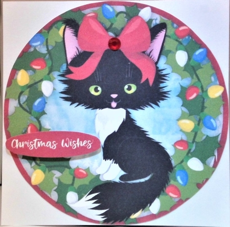 Gorgeous Christmas  Kitty 3 by Hazel Underwood