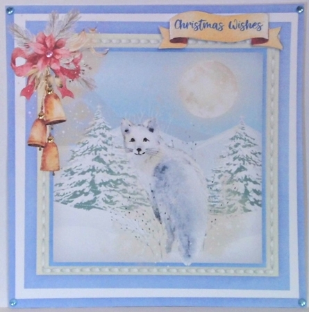 Snowcat in the Snow  by Hazel Underwood