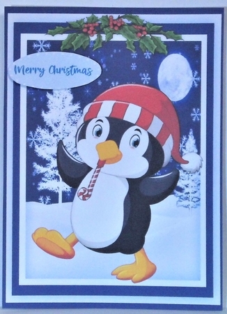 12,Mixed card fronts with Jolly Penguins + Matching Inserts by Hazel Underwood