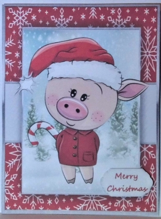 16 A5 Festive Card Fronts With 4 Matching Inserts by Hazel Underwood