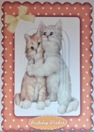Beautiful Love Me Kittys  by Hazel Underwood