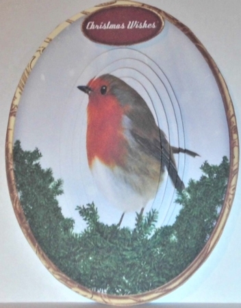 Beautiful Christmas Robin, Pyramid  by Hazel Underwood