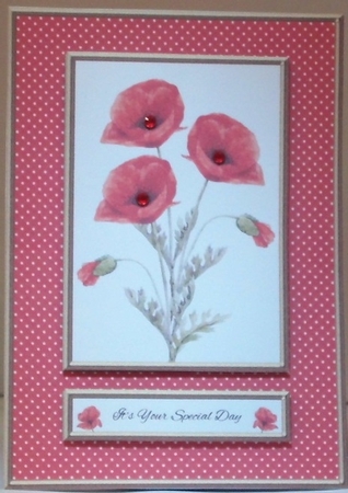 Lovely Watercolor Poppies (Red) by Hazel Underwood
