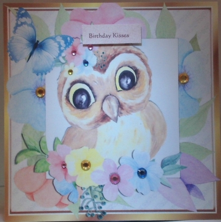 sweet water colour owl in flower frame with butterfly 8x8 by Hazel Underwood