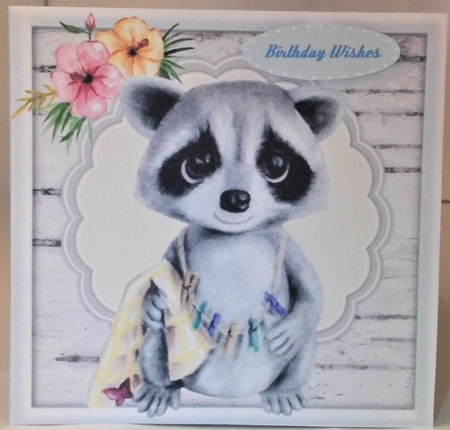 Gorgeous Raccoon  by Hazel Underwood