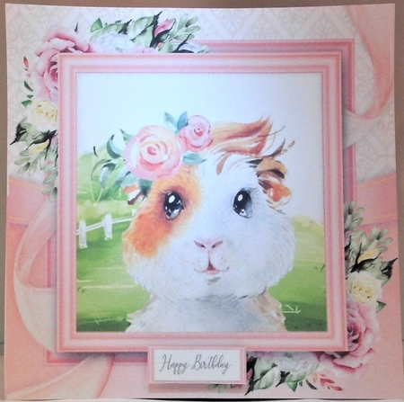 Cute Brown & White Guinea Pig 8x8 by Hazel Underwood