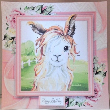 Cute Brown & White Llama   8x8 by Hazel Underwood