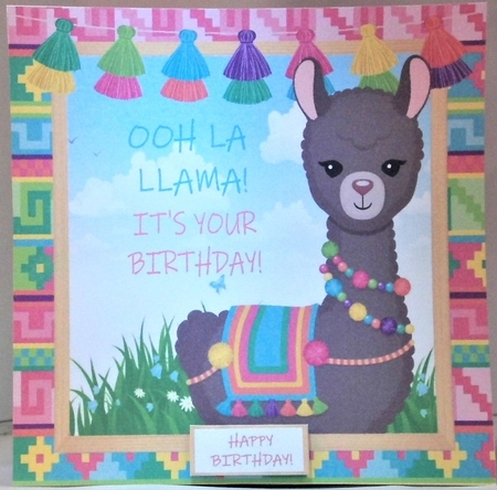 Ooh La  Llama its your birthday  8x8 Mini Kit by Hazel Underwood