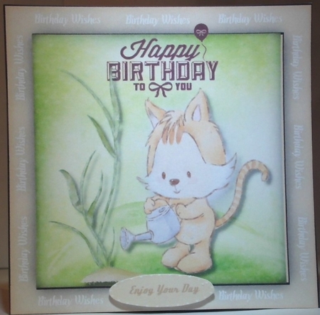 Kitty Cats Birthday Plant by Hazel Underwood