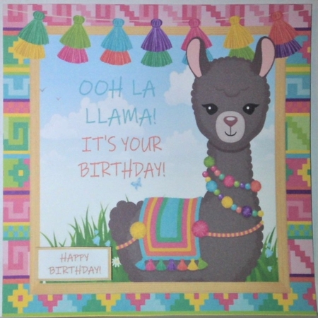 Ooh La llama! Its your birthday! Llama fun 8x8 by Hazel Underwood